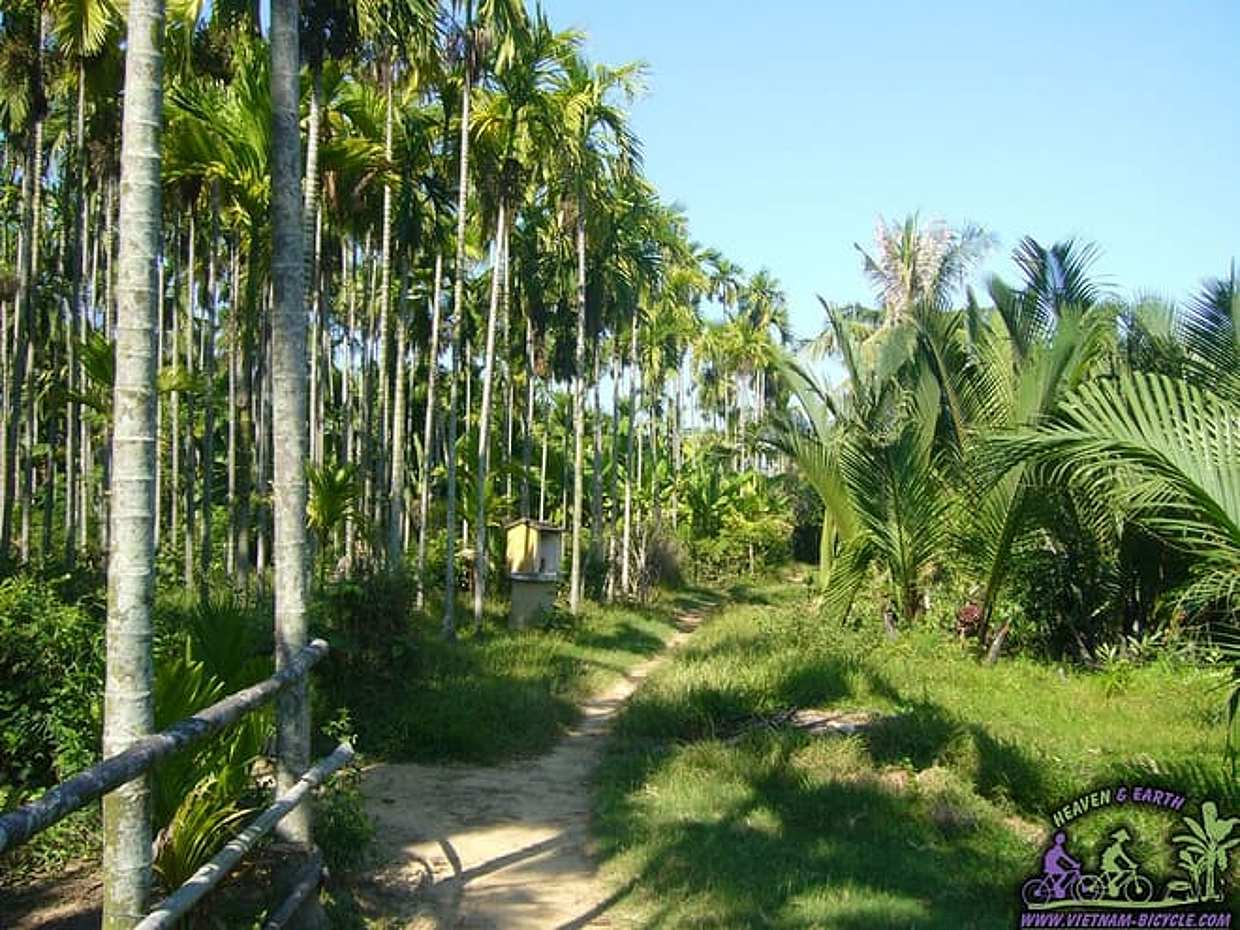 "Kookleservaring op het echte platteland en fietstocht - Hoi An in Vietnam", photo 4