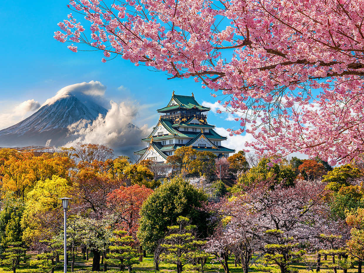 Tour privado de día completo por la ciudad de Osaka en Japón, Tour divertido de un día: Cultura y castillos
