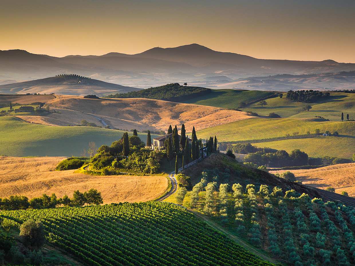 Exclusive Val d'Orcia Tour from Florence - A Cinematic Universe for Wine Lovers in Italy, photo 3