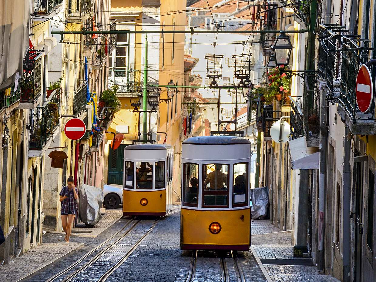 Porto Private Tour from Lisbon in Portugal