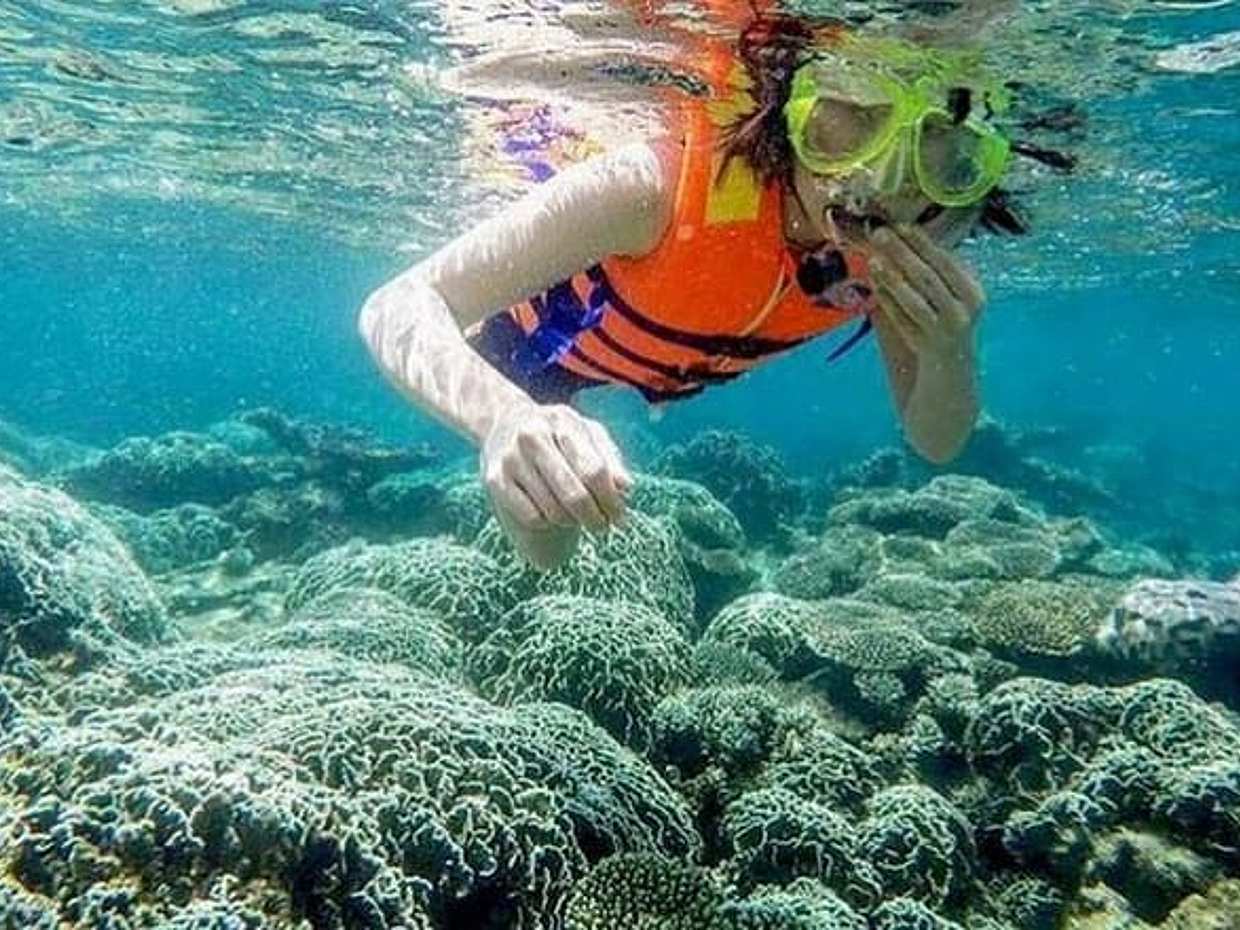 "Mui Ne'den Vinh Hy Koyu'na Şnorkelle Dalış, Vietnam'da Gizli Şelale Macerası", photo 3
