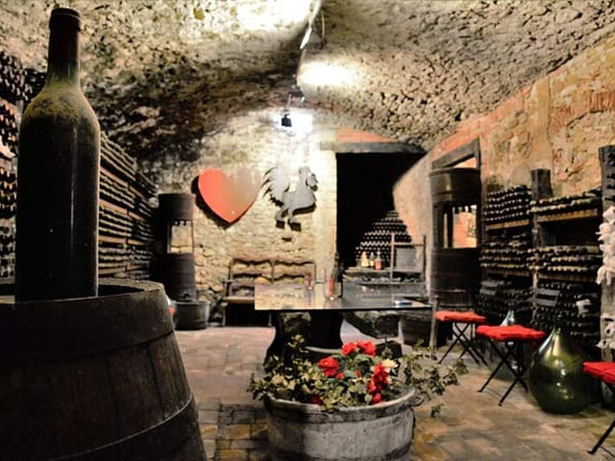 Exclusive Private Tuscan Dinner Half Day from Florence