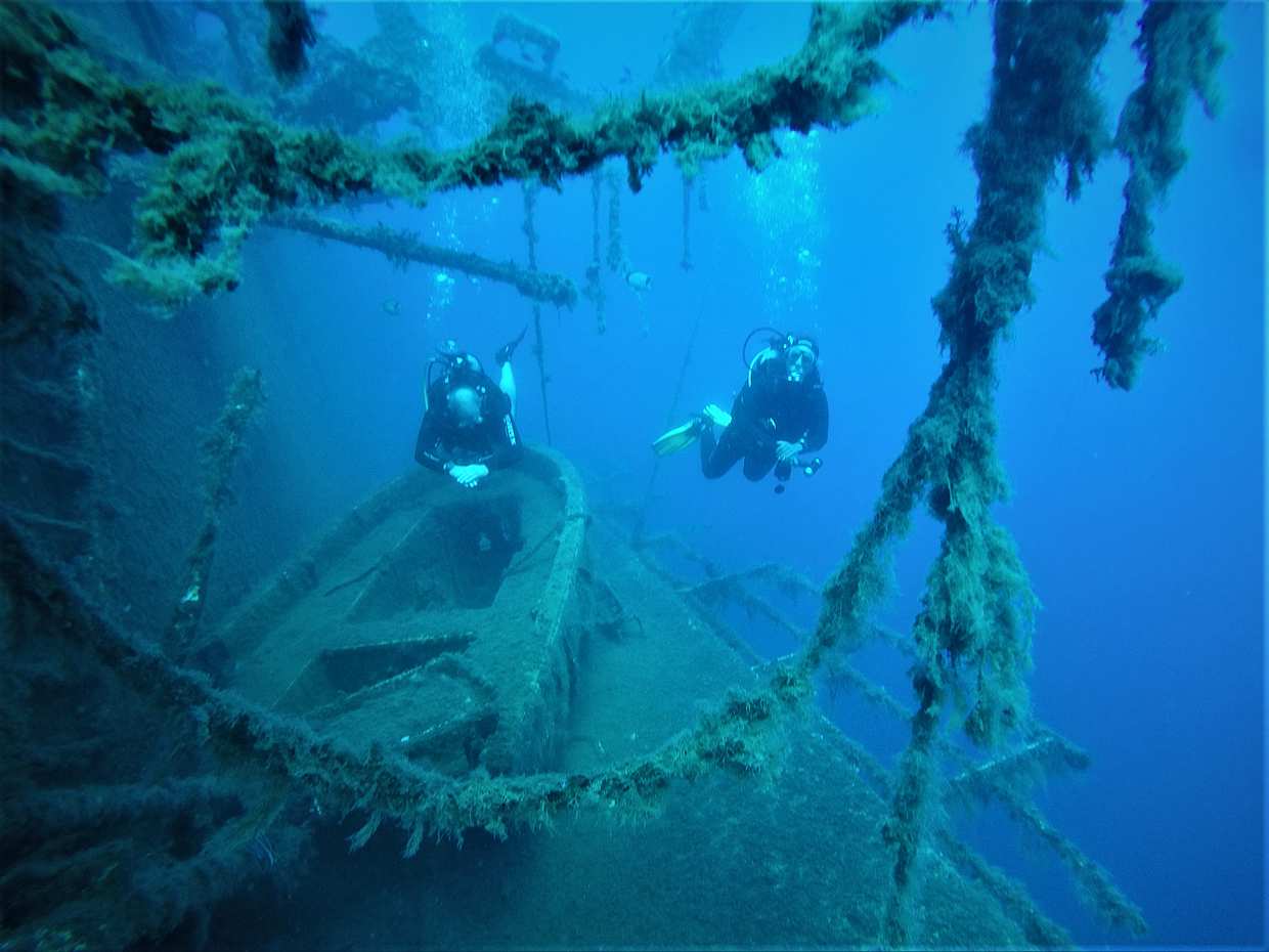 Guided Scuba Diving Tours (Certified divers), photo 4