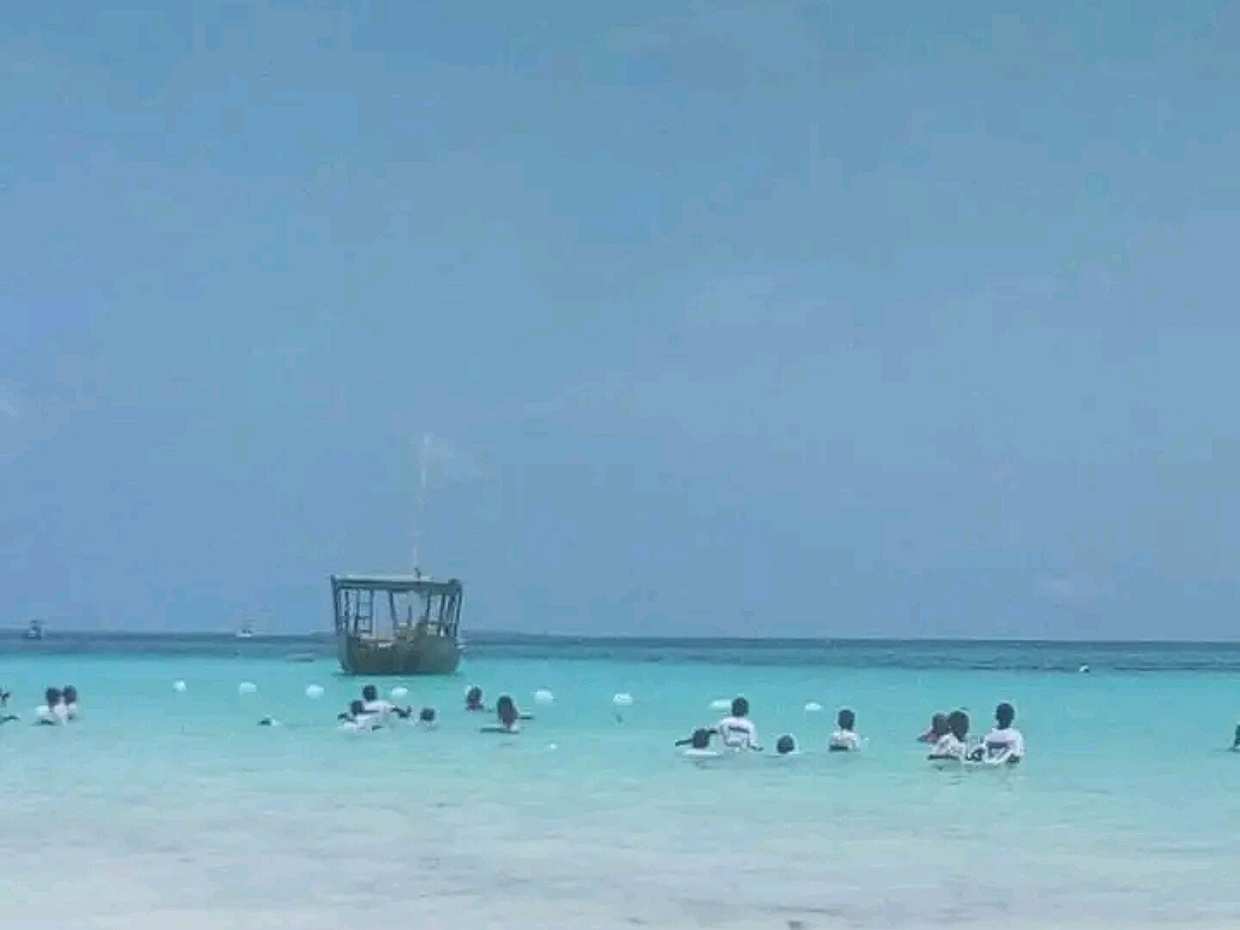 Full Day Wasini Island Tour: Dolphins spotting and snorkeling. in Kenya, Diani Beach, photo 5