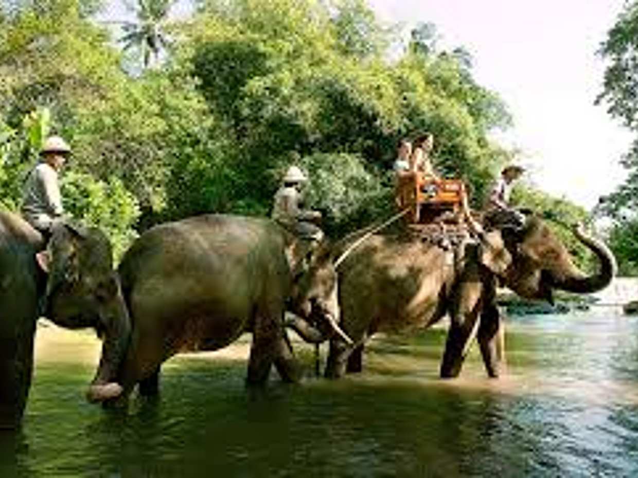 An Unforgettable Elephant Ride at Bali Zoo in Indonesia, Bali Zoo Elephant Ride, photo 5