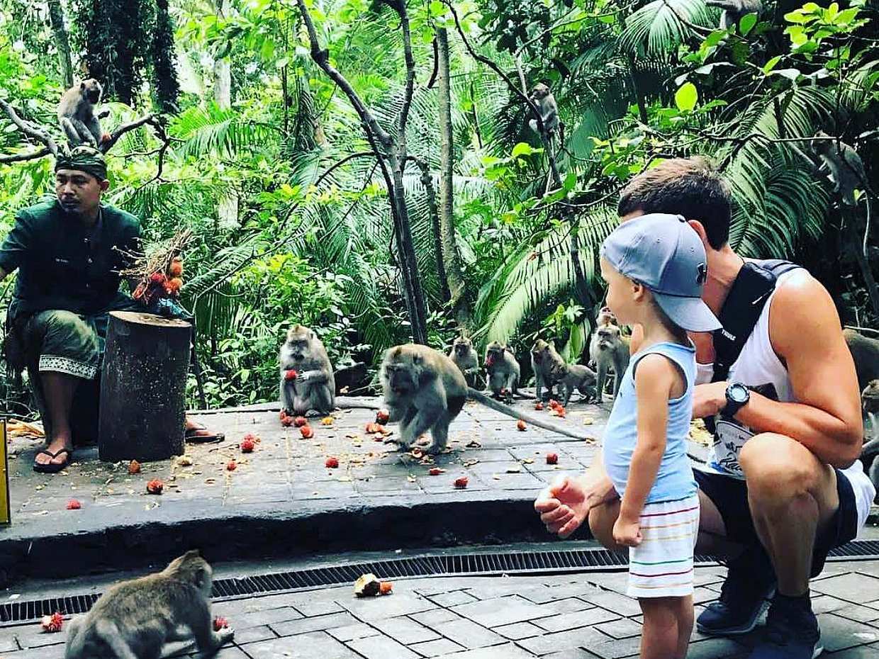 Full-day Ubud Sightseeing Tour in Bali, Indonesia, photo 2