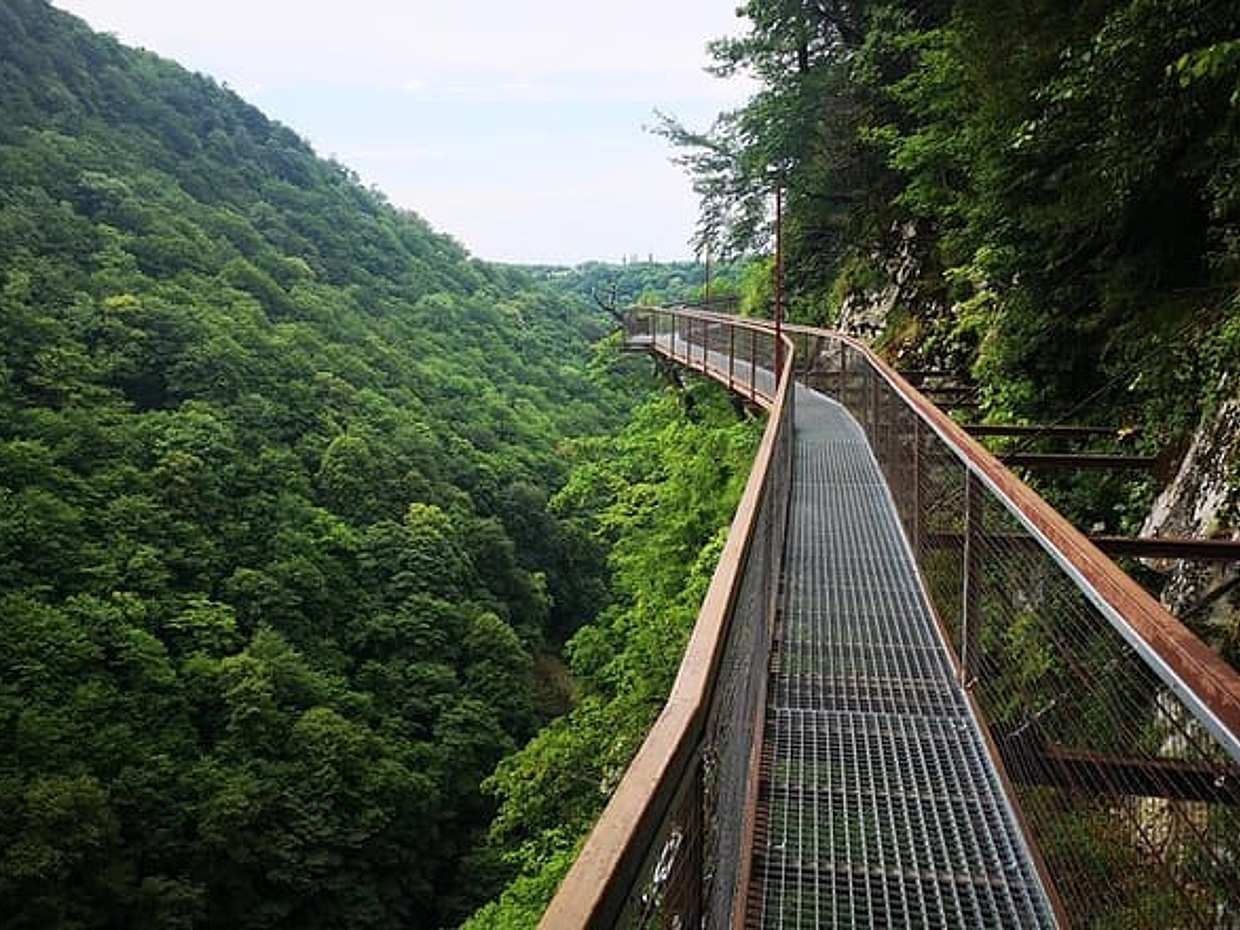 Georgia Tour Package 5 Days