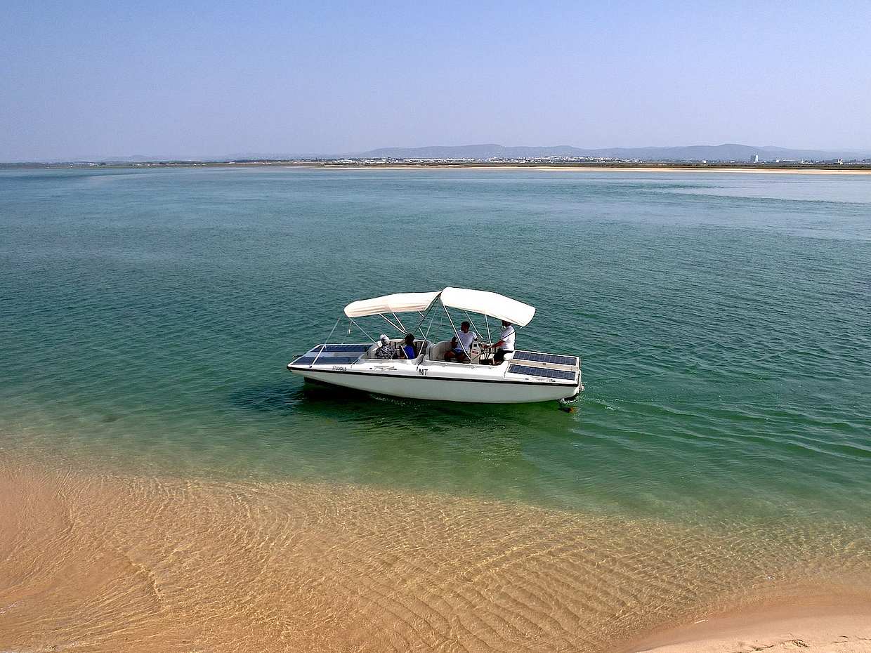 Observação de aves na Ria Formosa num Barco Solar a partir de Faro, em Portugal.
, photo 4