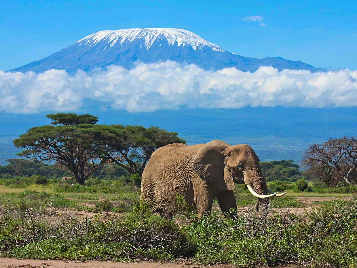 Meru Experience Day Trip  from Arusha in Tanzania, photo 3