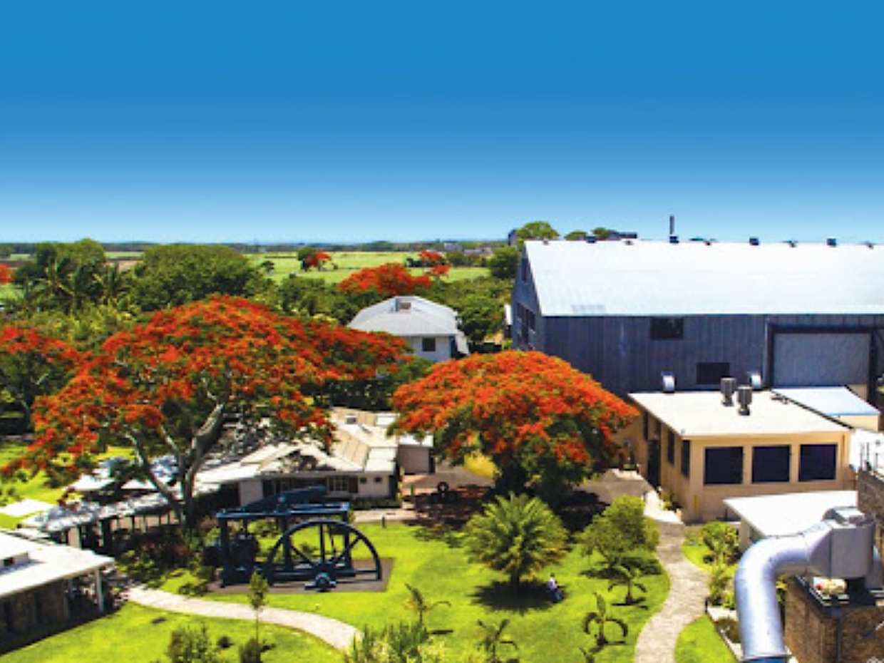 Excursión de un día al norte: Jardín Botánico, Museo del Azúcar y degustación de ron opcional, Mauricio.
