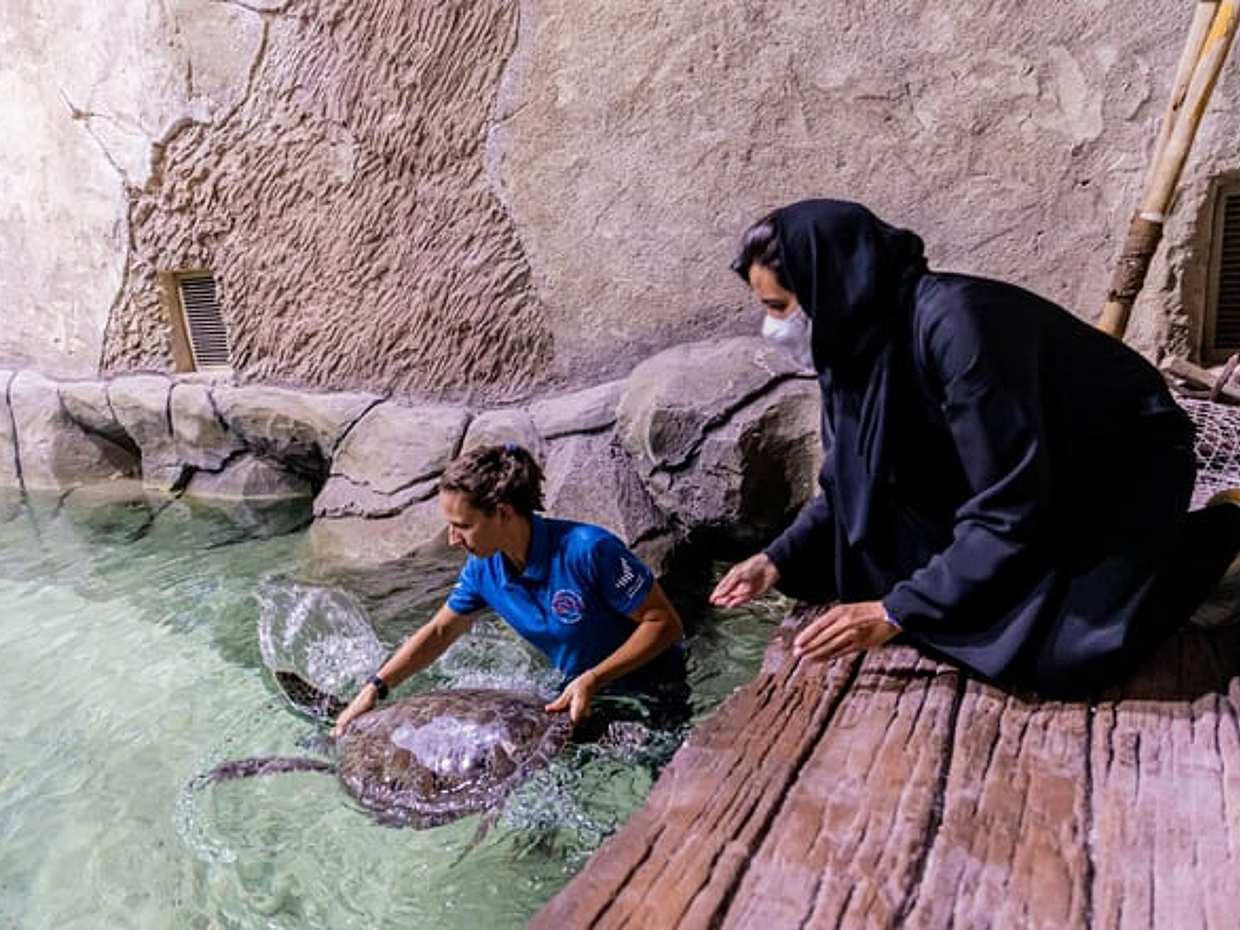 Bilety do Narodowego Akwarium Abu Zabi w Zjednoczonych Emiratach Arabskich, obszar, photo 4