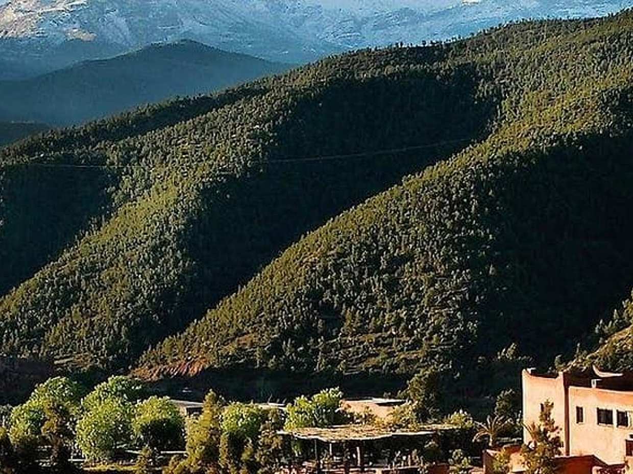 Atlas Mountains Ourika Valley Private day trip from Marrakesh, photo 3