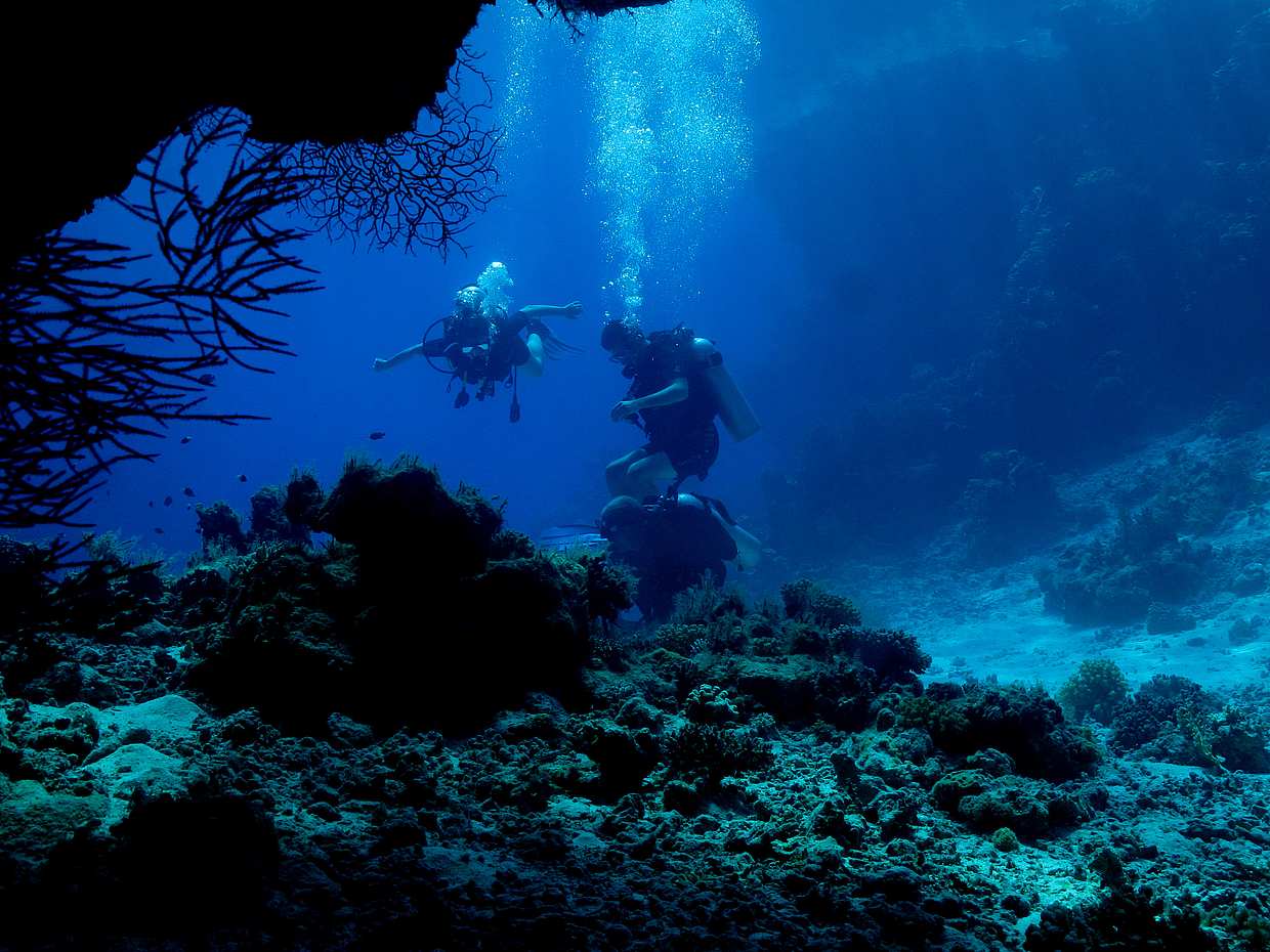 Diving for Certified Divers in Fujairah, United Arab Emirates, photo 2