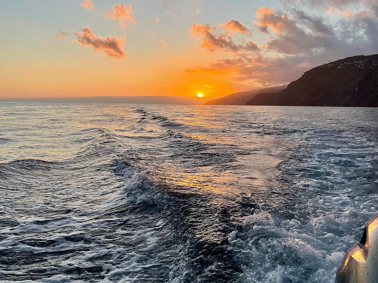 Sunset Private Boat Tour from Funchal, photo 4