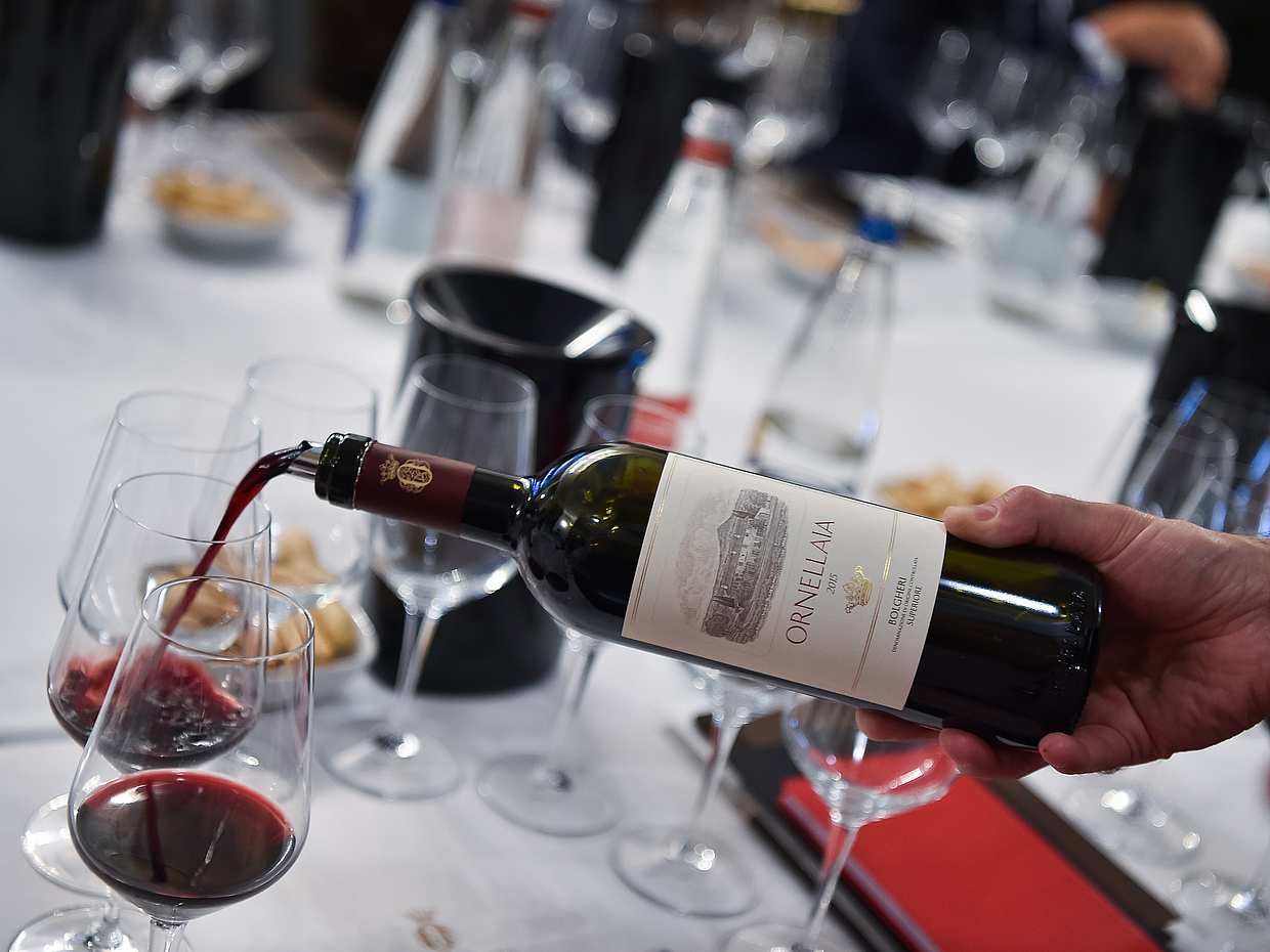 Exclusive Bolgheri from Florence: The Land of the Super Tuscan, Italy, photo 3