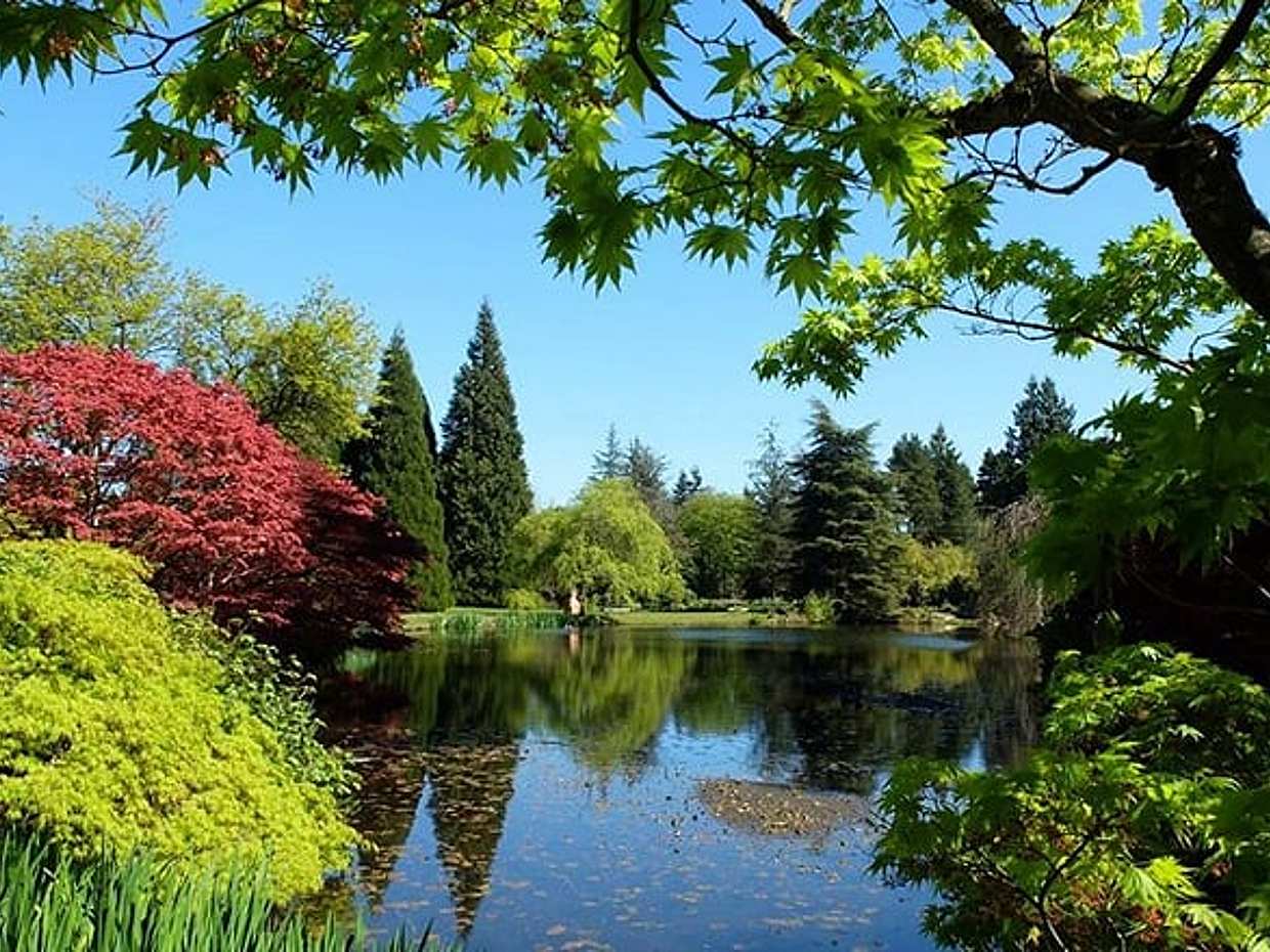 Vancouver Day Tour | Visit The Most Unique Places! Private, photo 3
