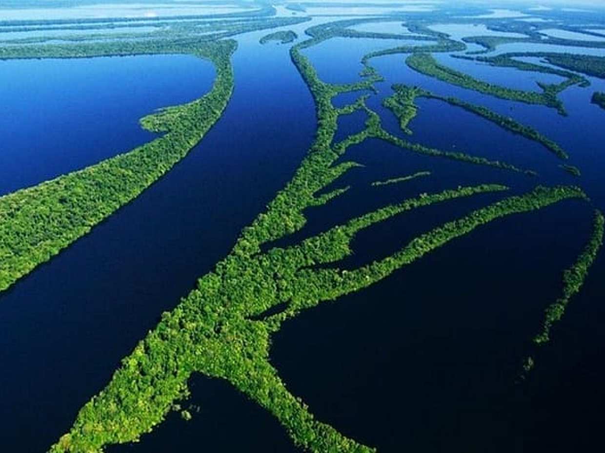 "Excursão de 8 horas pela Selva Amazônica e Arquipélago de Anavilhanas no Brasil, Manaus"