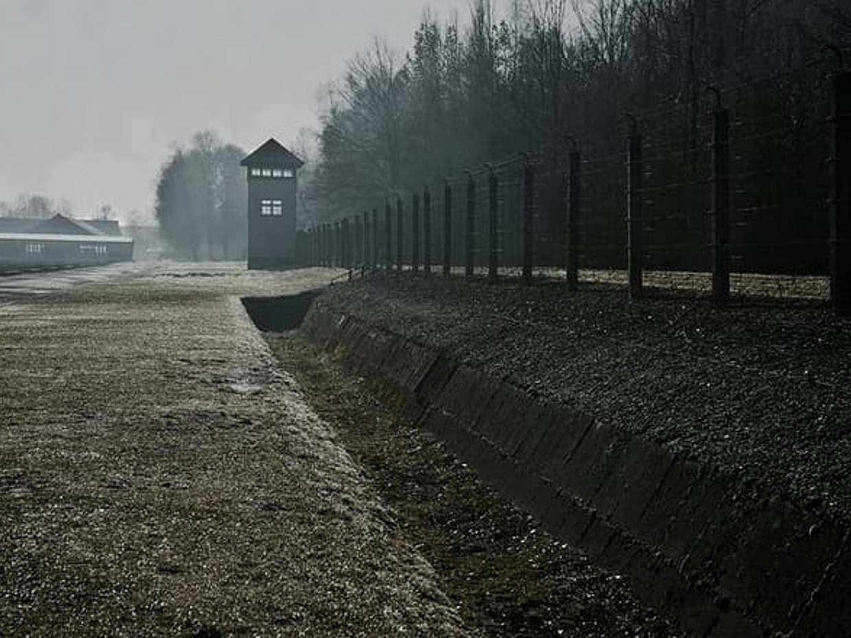 Private Tour from Munich to Ingolstadt + Audi Museum and Dachau in Germany, photo 2