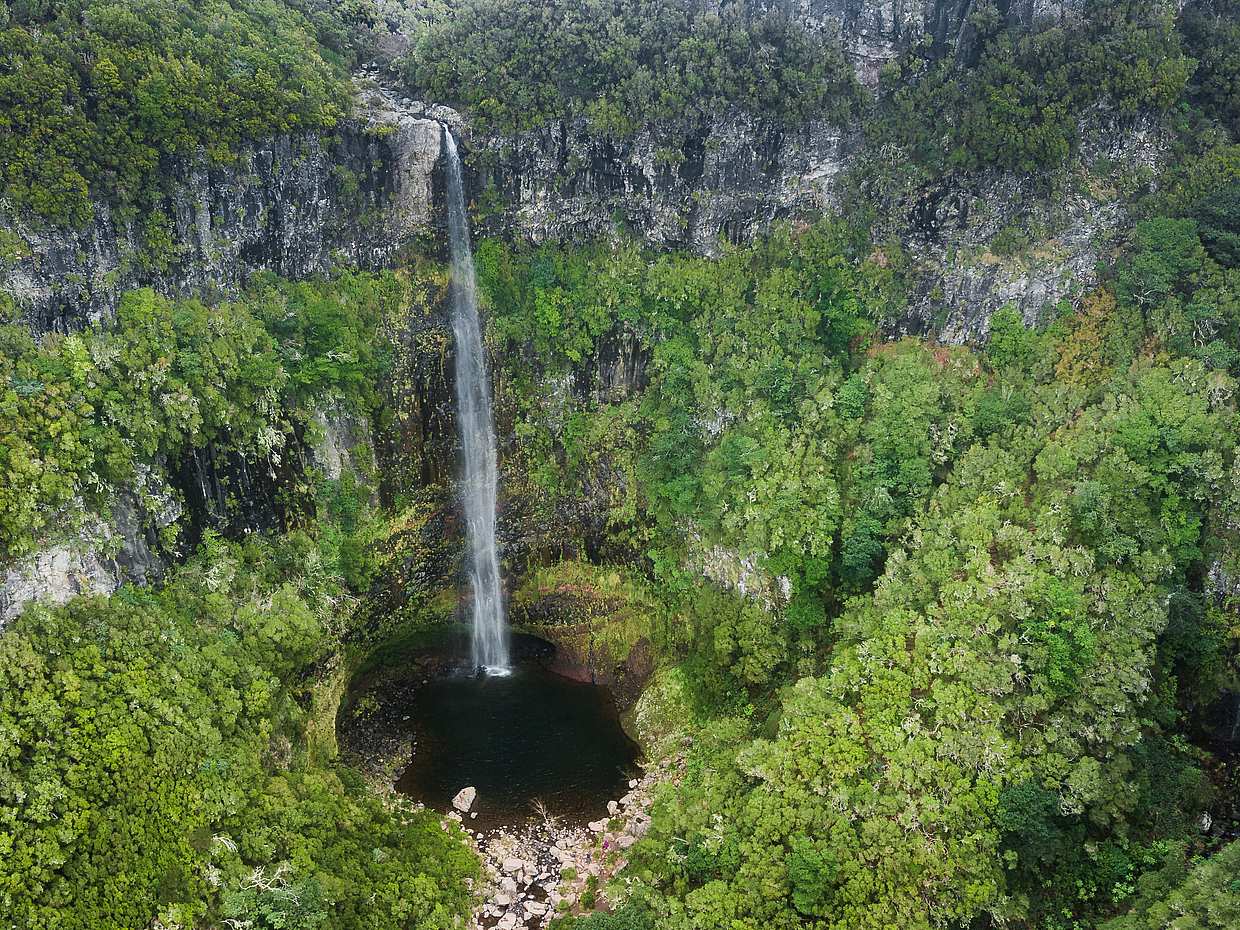 Rabaçal, Risco Waterfall and 25 Fountains Full-day Walking Tour in Portugal, Funchal, photo 3