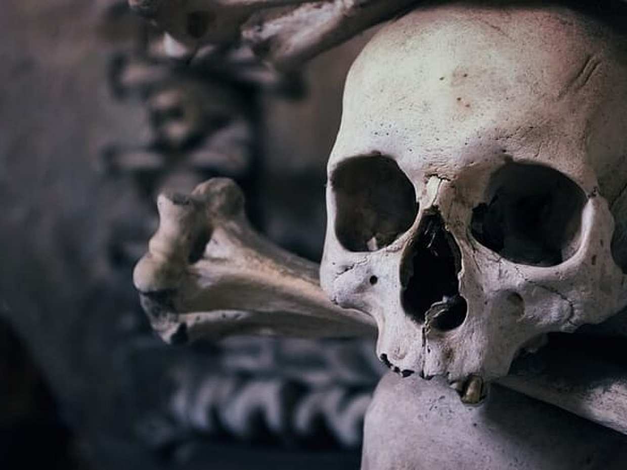 Prague to Kutna Hora day trip to Ossuary, St Barbara and more in Czechia, photo 5