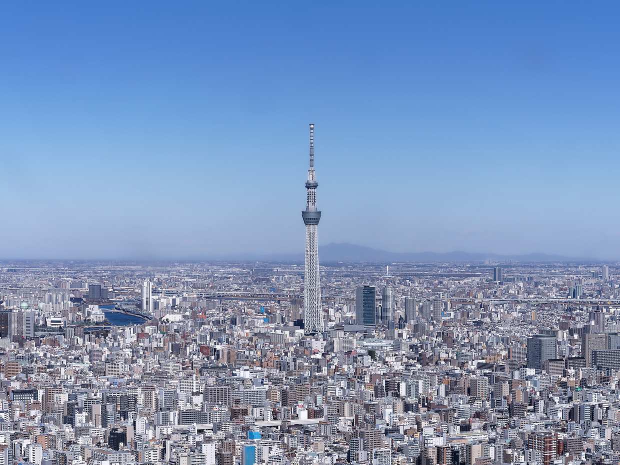 Tokyo: Fuji - Hakone - Yokohama Helikopterflug (1-5 Personen) in Japan

