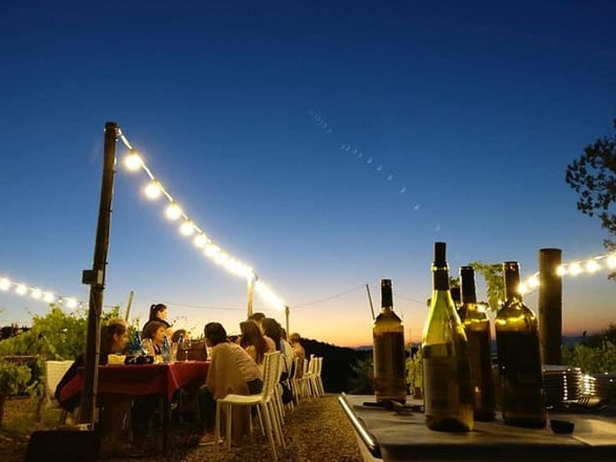 Cena tra i Vigneti in Italia, Siena, photo 3