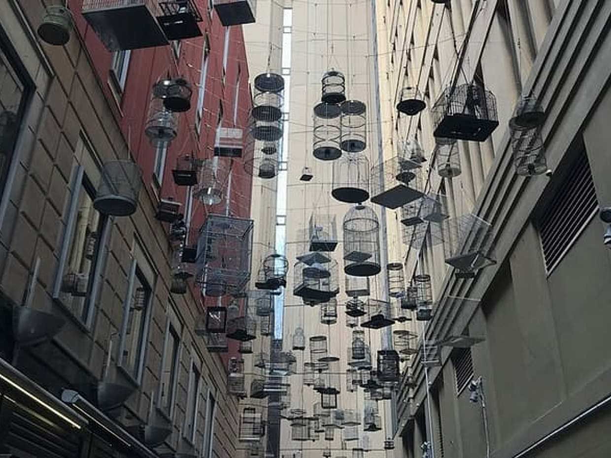 Haunted Sydney: The Rocks Geister-Mordrätsel-Spaziergang in Australien, photo 4