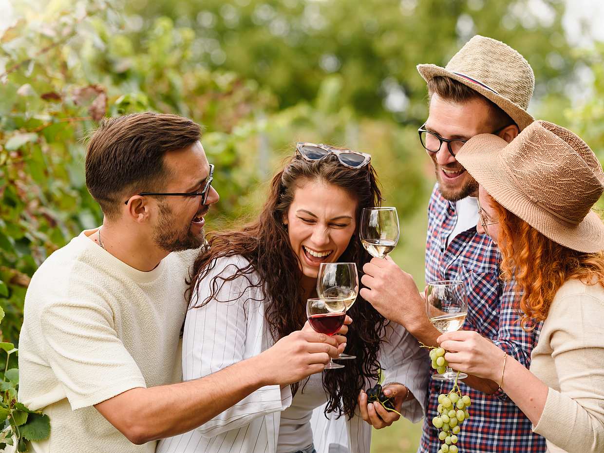 Excursão Privada de Meio Dia de Carmignano: Casa do Primeiro Cabernet-Sauvignon na Toscana