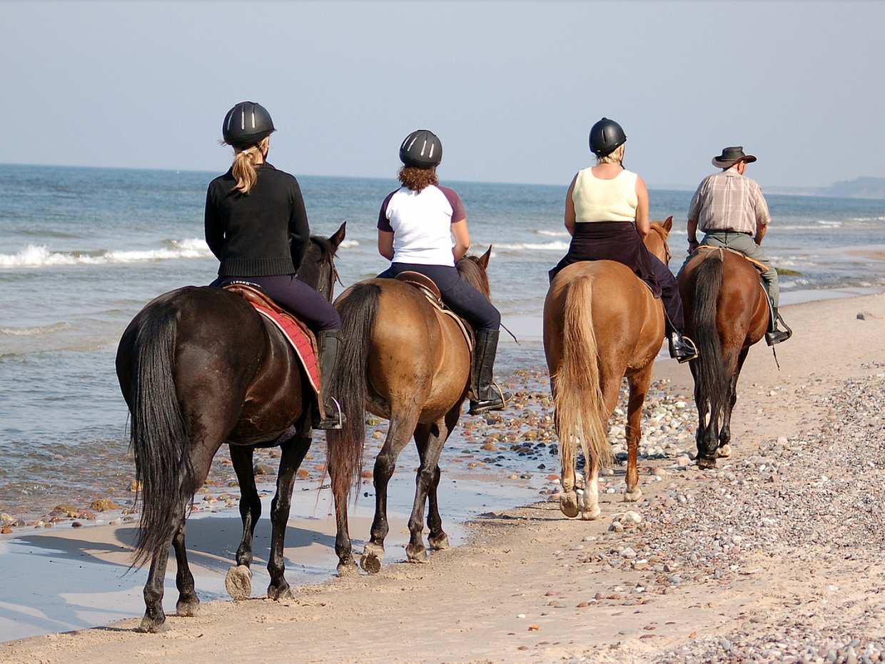 Horseback Riding in Corfu in Greece, photo 3