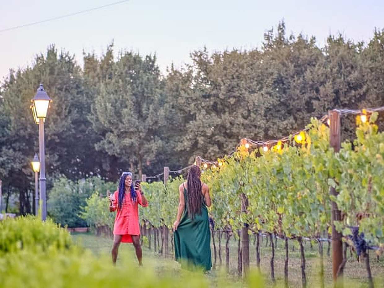 Chianti Delights: A Tale Of Two Wineries With A Vineyard Dinner