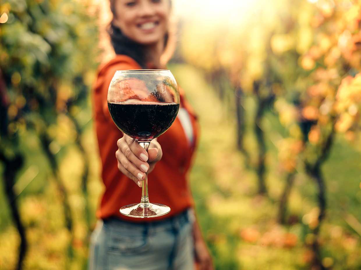 Privater Chianti Halbtagesausflug ab Florenz in Italien, Chianti Tour
