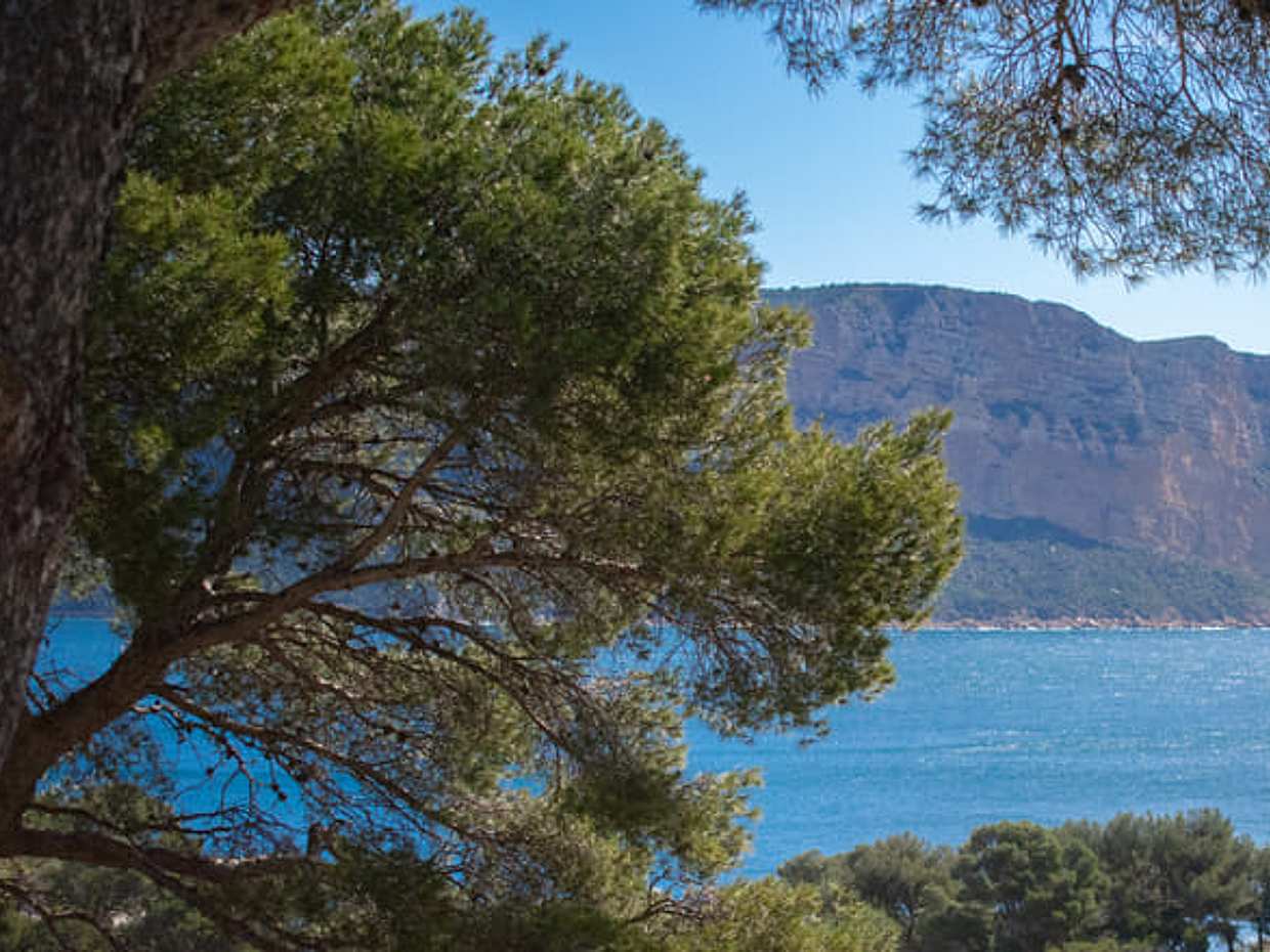 Hiking in the Calanques national park from Luminy, photo 2