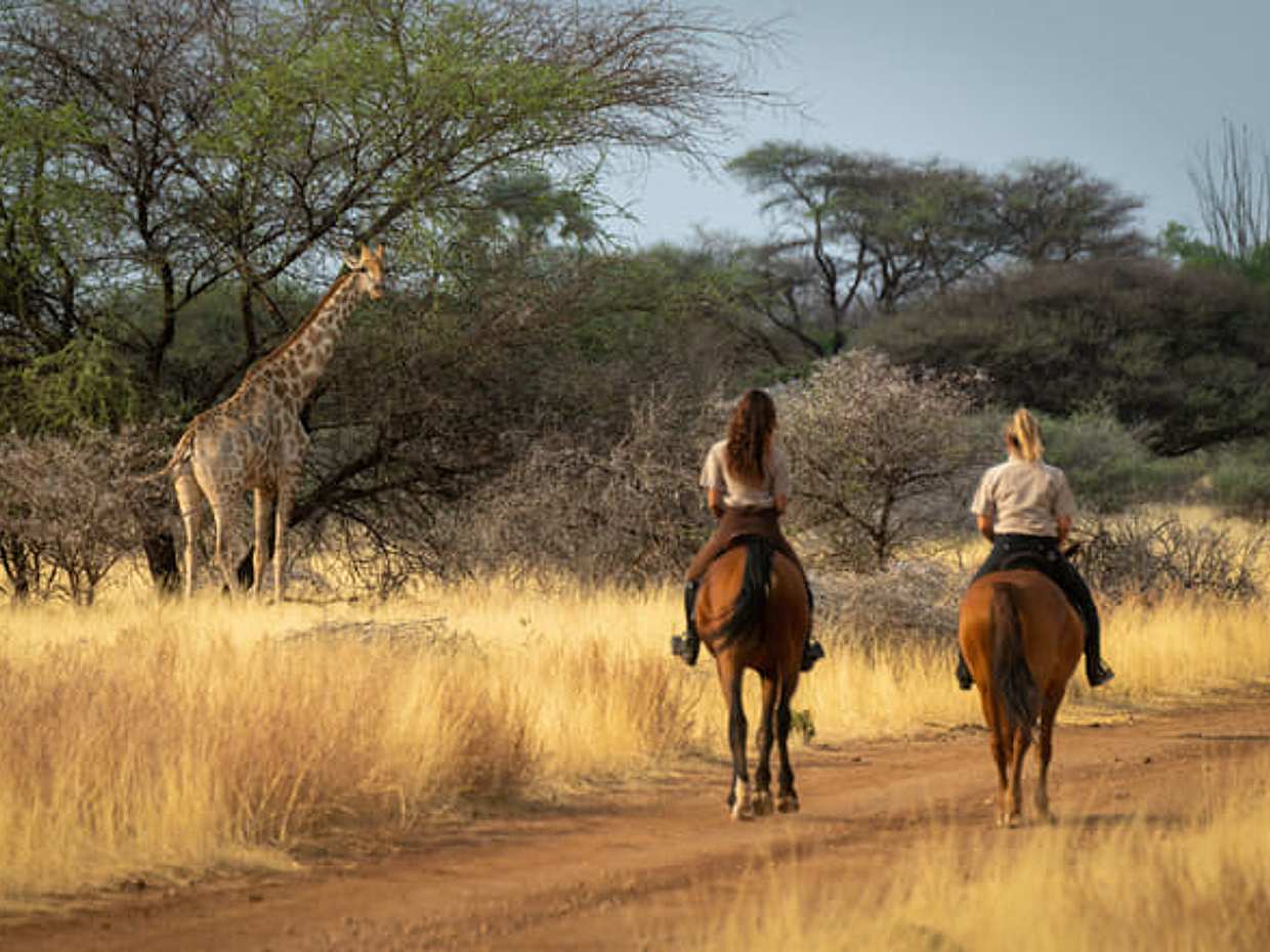 Paardensafari en kabelbaanrit vanuit Johannesburg, Zuid-Afrika, photo 2