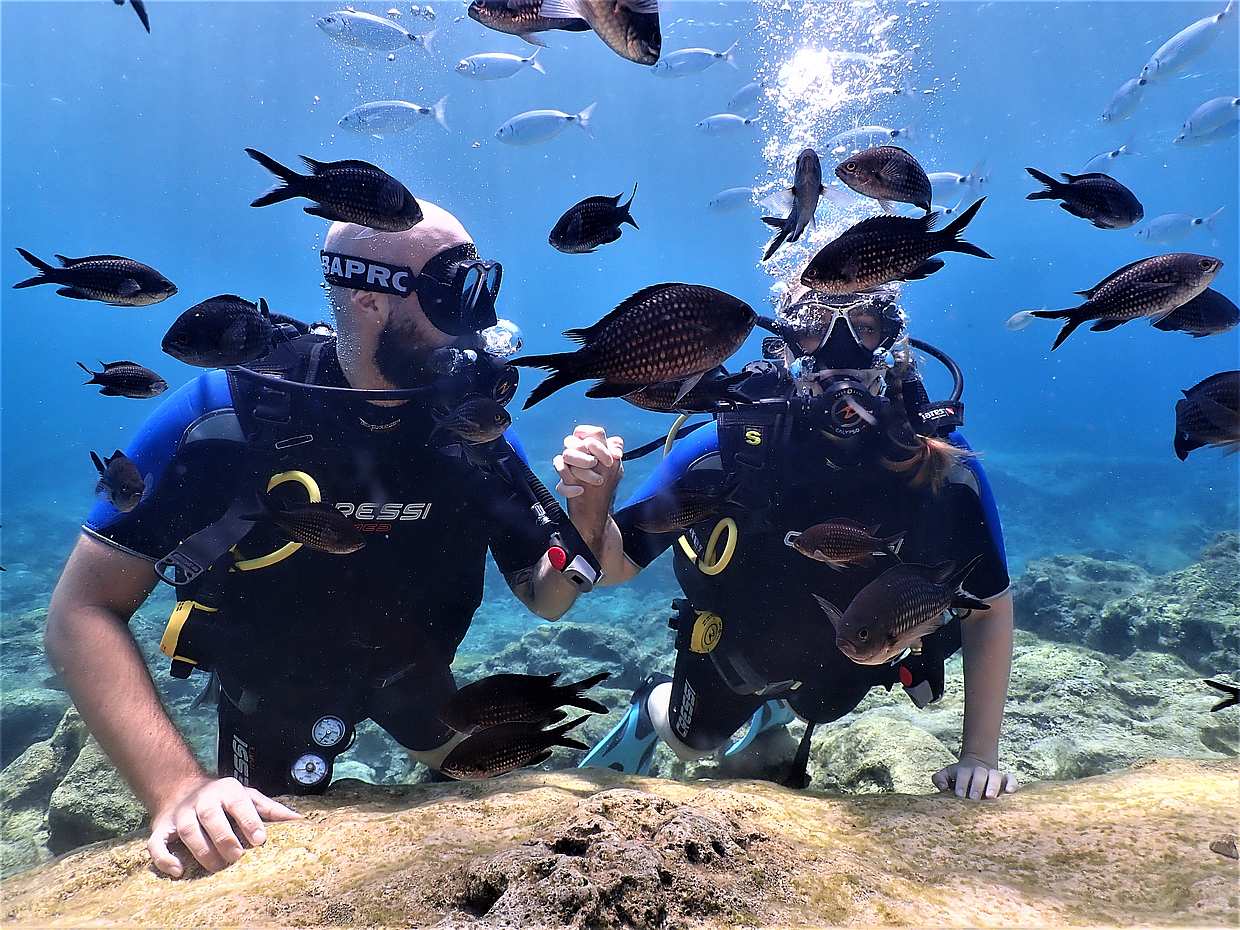 Scuba Diving for Beginners (try dive), photo 3