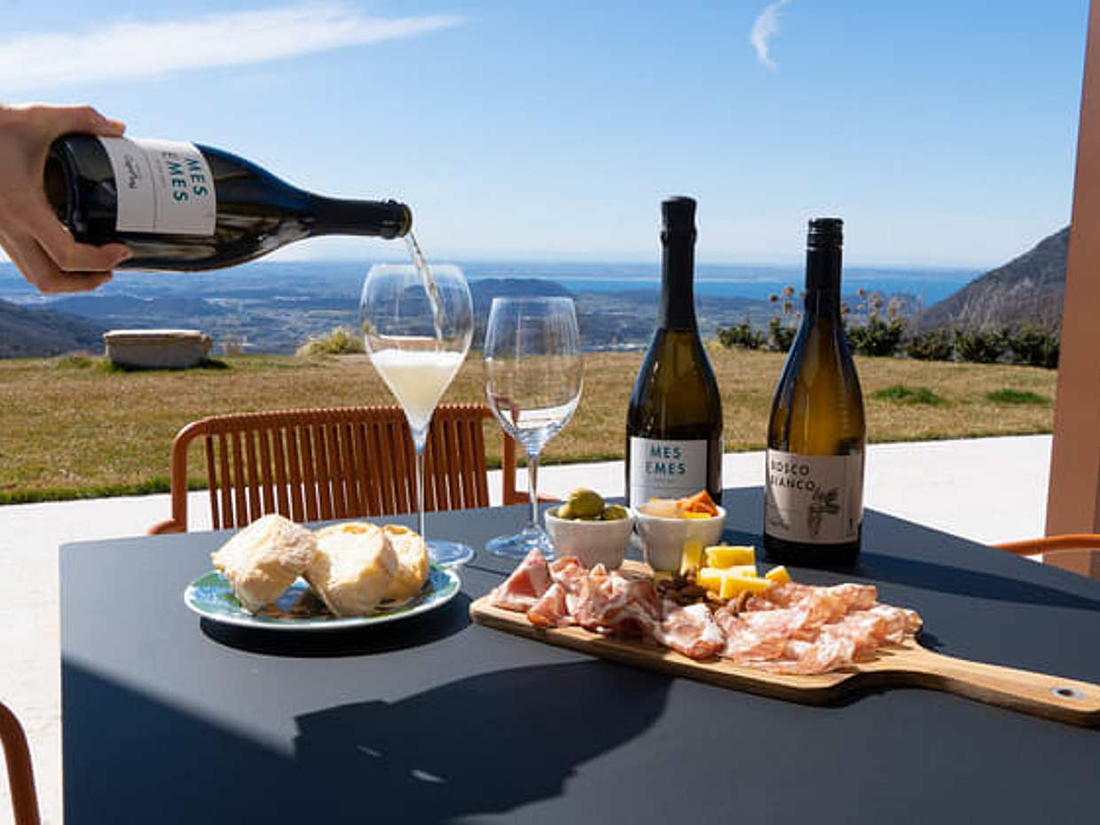 Tasting of Organic Mountains Wines with Vineyard and Cellar Tour