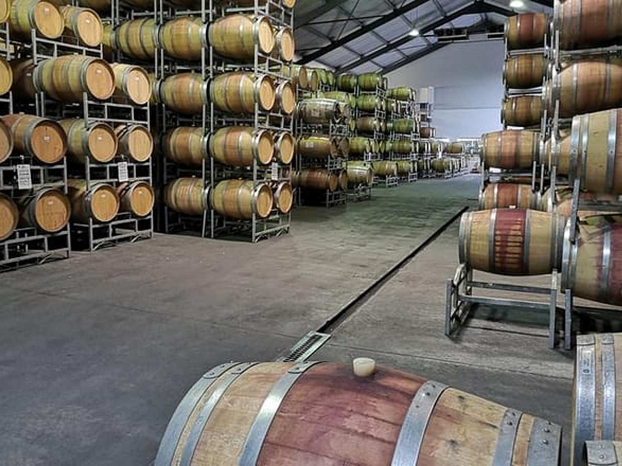 Private Cape Winelands จาก Stellenbosch หรือ Franschhoek หรือ Paarl ในแอฟริกาใต้, เคปทาวน์, photo 3