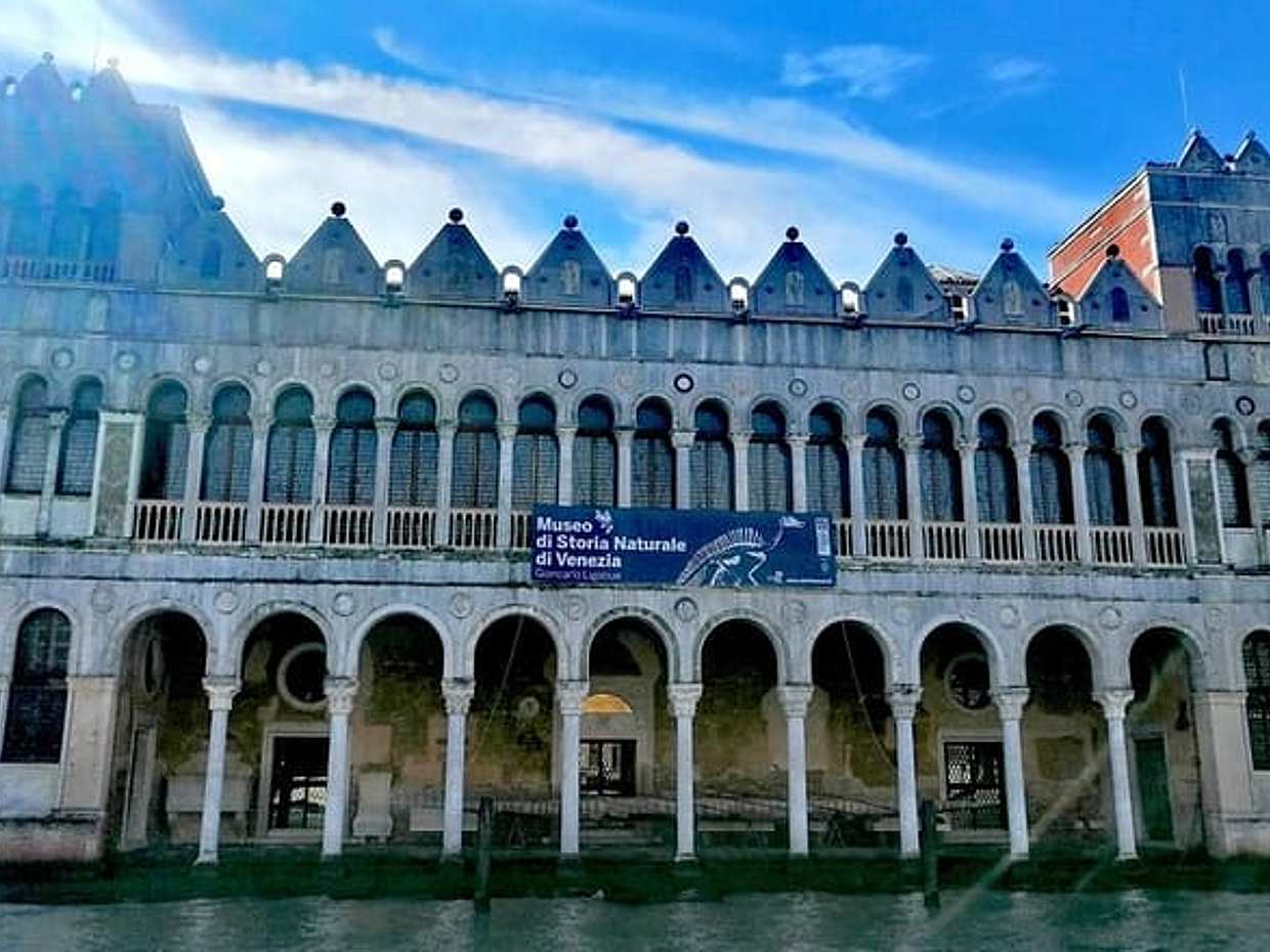 Venice Natural History Museum: Private Tour