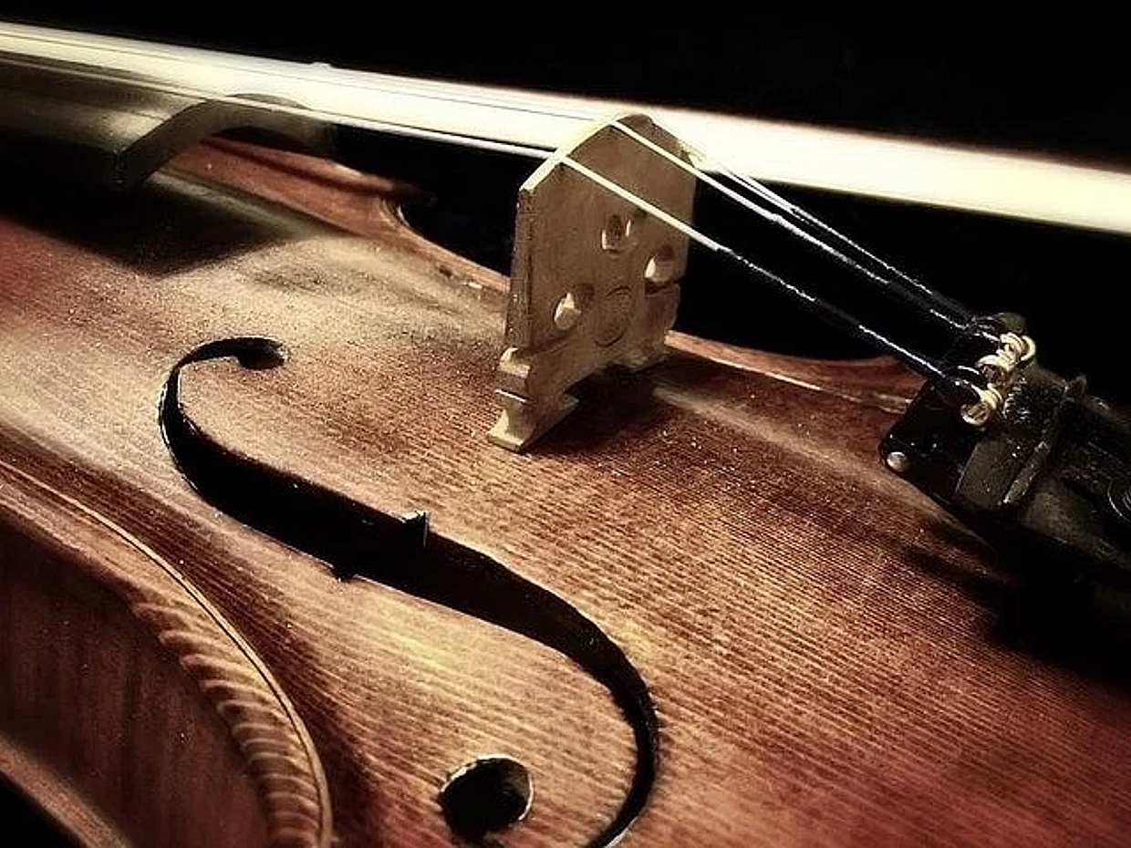 Musikalischer Aperitif. Konzert und Verkostung lokaler Produkte in Frankreich, Marseille
, photo 5