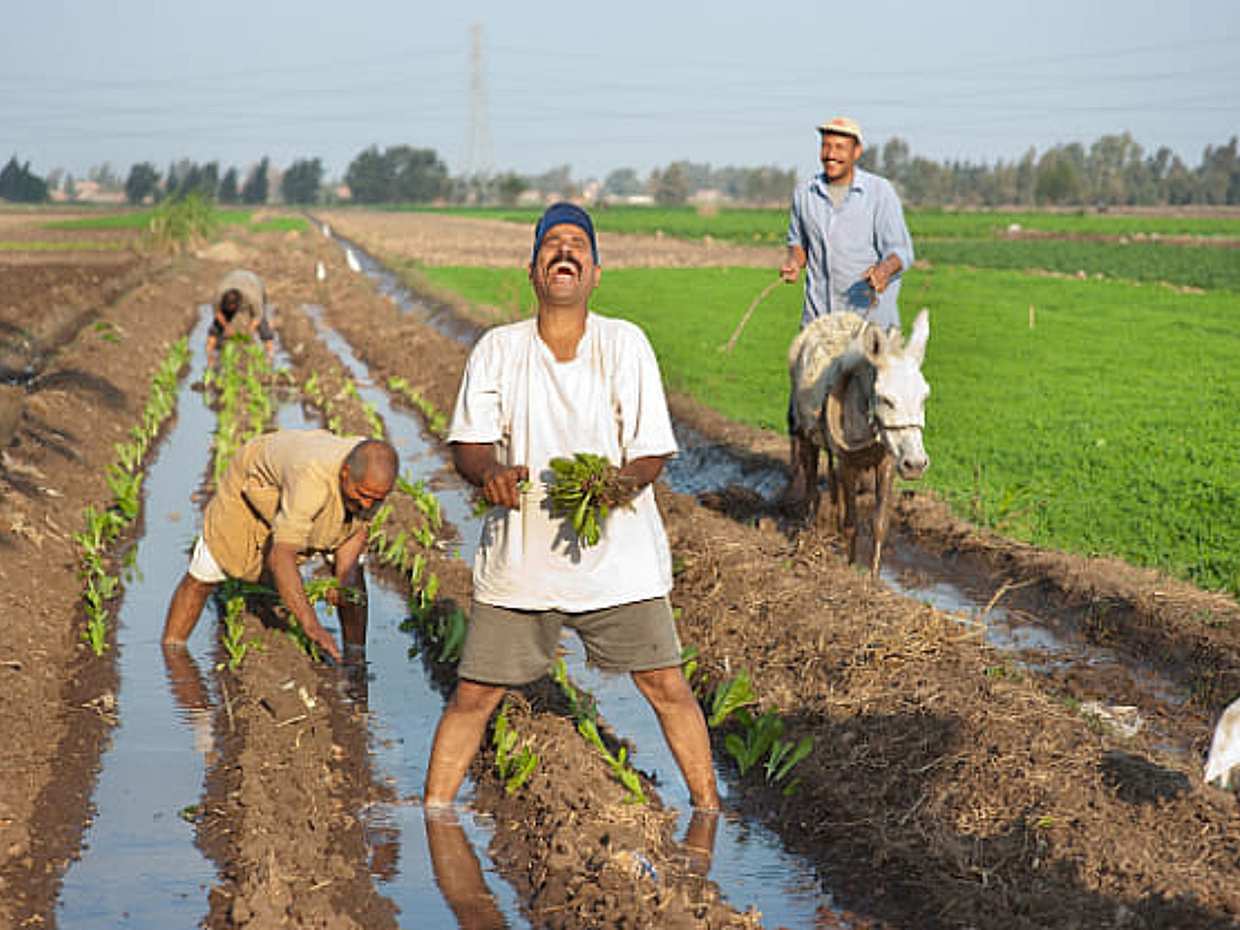 Half-Day Egypt Country Side Farm Tour with Pick Up, photo 3