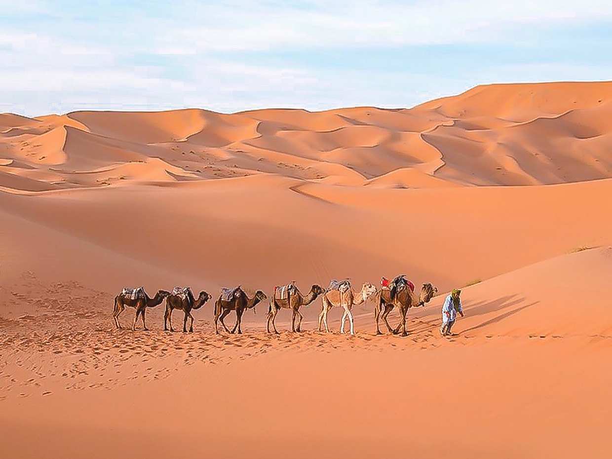 Ksar Ghilane Oasis, Sahara and Oasis Tour in Tunisia, Djerba Midun, photo 2