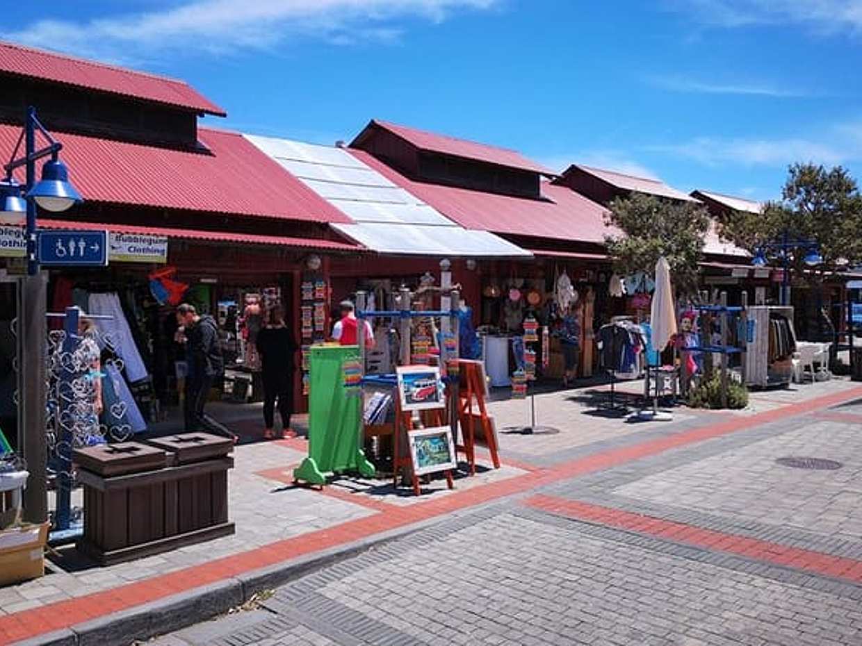 Private Full Day Shore Whale Watching Penguins Wine Tasting Tour from Cape Town in South Africa, photo 3