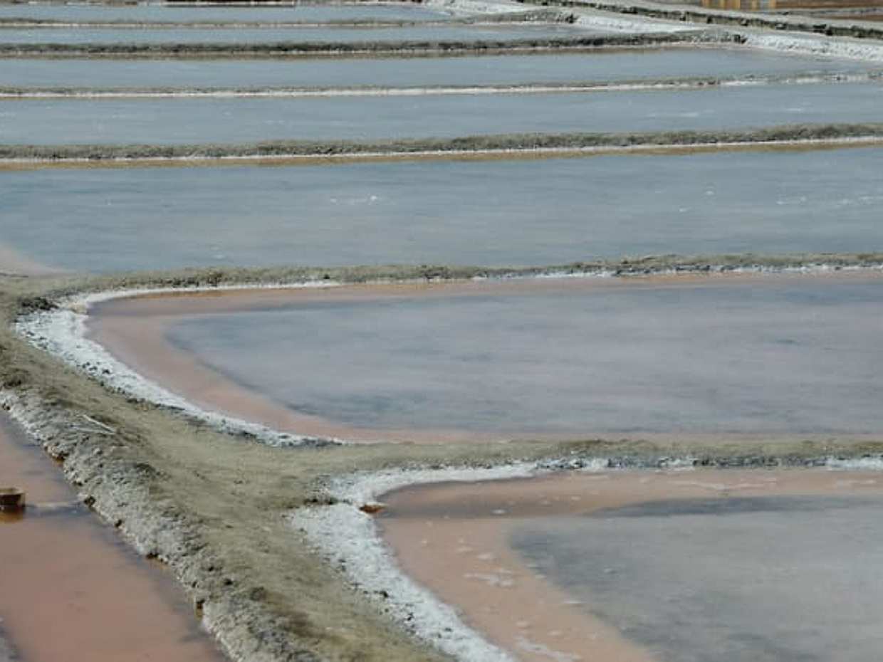 Cervia: unveiling the ancient Salt Pans, photo 3