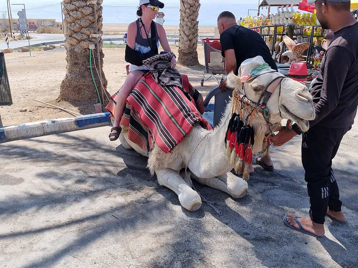Excursión privada de un día a Masada y el Mar Muerto en Israel, Tel Aviv-Yafo.
, photo 3