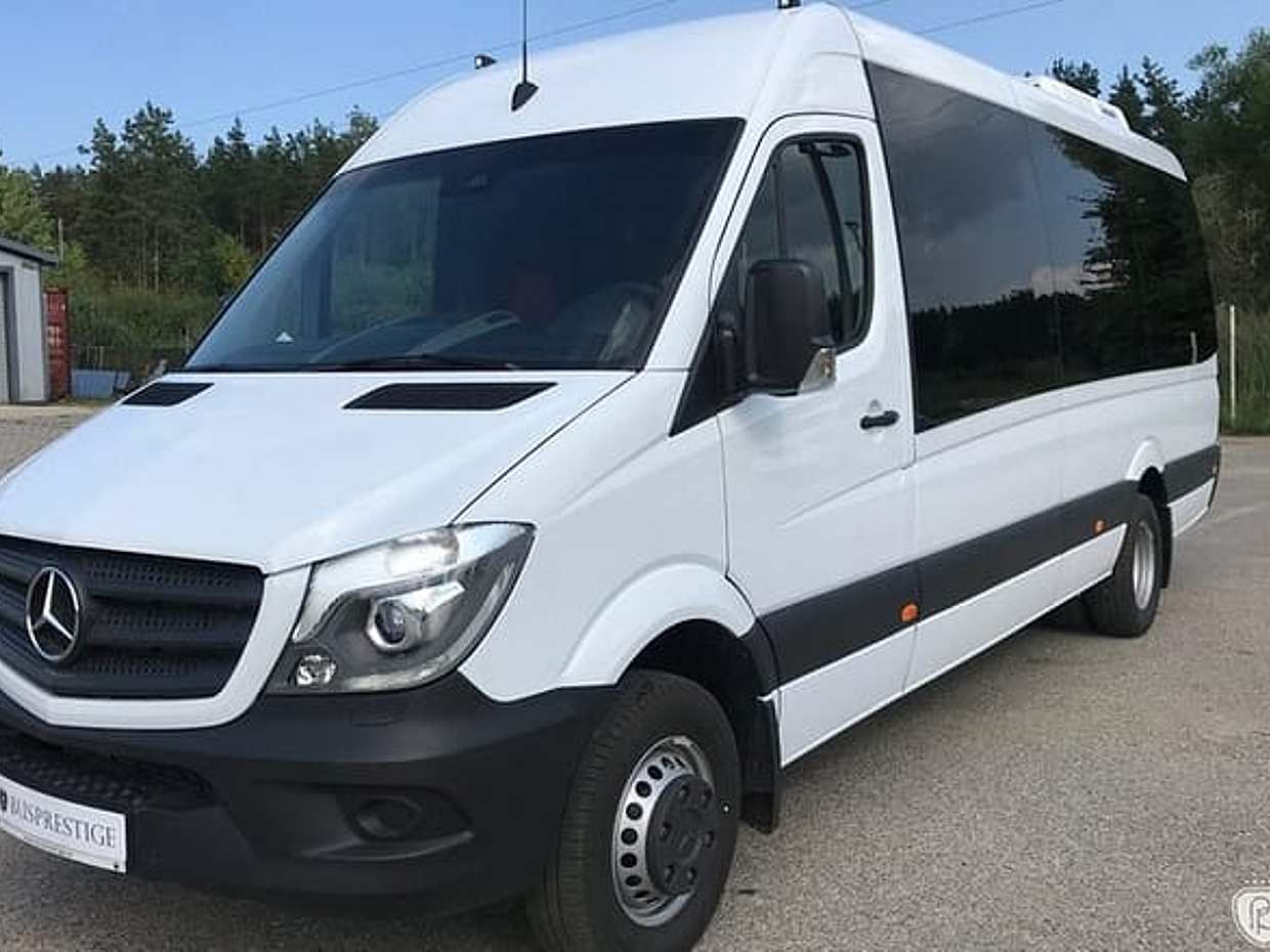 Volledige dag privétour per busje in Parijs, Frankrijk, photo 5