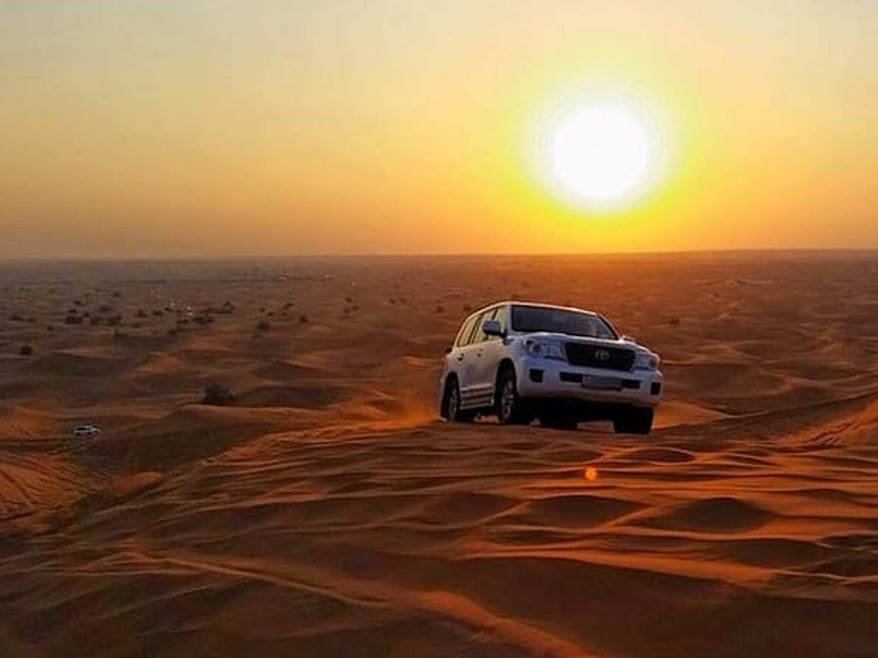 Morning Desert Safari with Honey Bee Garden in United Arab Emirates, Dubai, photo 4