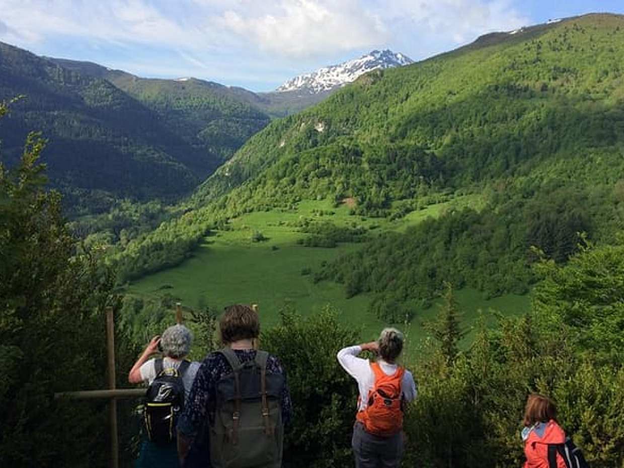Day tour to Montségur and Mirepoix. Private tour from Toulouse., photo 3