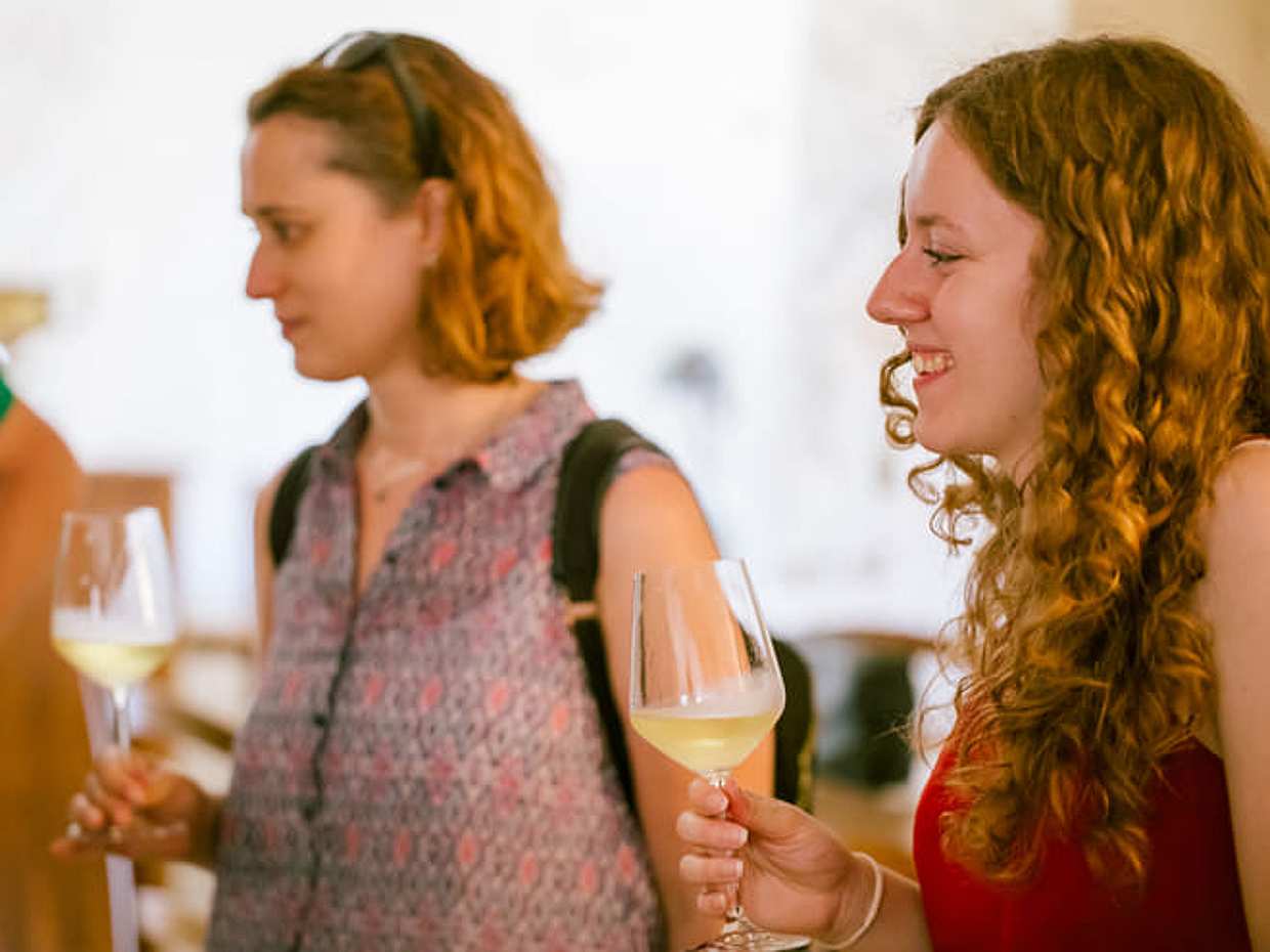 Teroldego Vineyard Tour with 3 Wine Tasting in Mezzocorona, photo 3