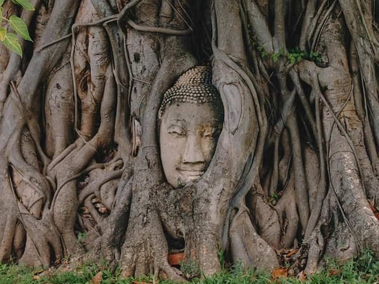 Private Transfer from Bangkok to Ayutthaya with 2h of Sightseeing, photo 3