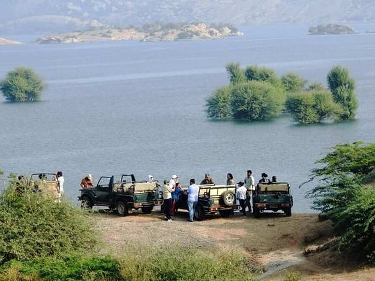 Jawai Leopard Safari & Ranakpur: Private Jodhpur Round Trip, photo 3