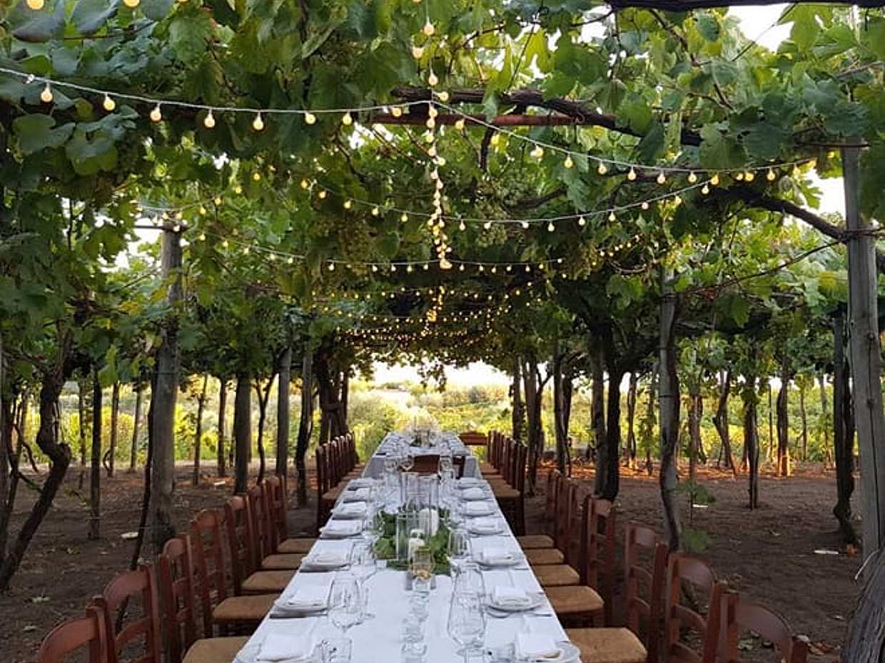 Dinner in the Vineyard at Sunset on the slopes of Vesuvius, photo 3